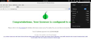 Abbildung 4: Verbindet sich Ihr Browser via Tor mit dem Internet, erscheint der entsprechende Eintrag auf der Check-Seite des Projektes.