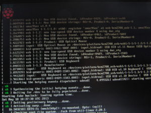Abbildung 3: Die (nicht eben spektakuläre) Boot-Sequenz von Raspbian.