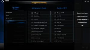 Abbildung 5: Mit dem Gruppen-Manager organisieren Sie die von der OpenELEC&nbsp;Box gefundenen TV-Sender in einfache handhabbare Gruppen.