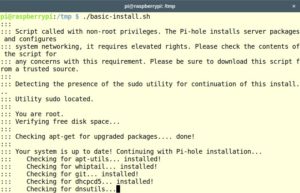 Abbildung 1: Die Installation von Pi-hole erfolgt unter Raspbian über ein Skript im Terminal.