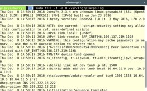 Abbildung 2: Probleme beim Verbindungsaufbau zum VPN-Server ermitteln Sie anhand des Logs in »/var/log/piavpn.log«.