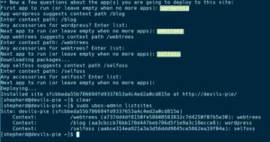 Abbildung 6: Bei Bedarf installieren Sie mehrere Anwendungen in einem Rutsch, wie hier WordPress, Webtrees und Selfoss.