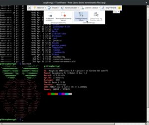 Abbildung 4: Nützlich wenn die Desktop-Umgebung oder der X-Server streikt: Mit Teamviewer bekommen Sie auch ohne grafische Oberfläche Zugriff auf das System.
