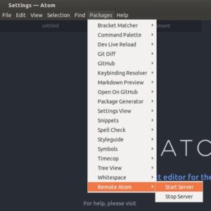 Abbildung 2: Den Remote-Atom-Server starten Sie unkompliziert direkt aus dem Menü heraus.