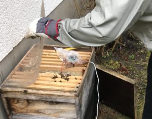 Abbildung 2: Noch steckt der Mini-Rechner in einer provisorischen Hülle. Ein wasserfestes Gehäuse und ein Solarmodul für die kabellose Stromzufuhr stehen auf der Einkaufsliste.