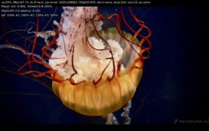 Abbildung 2: Die Jellyfish Video Bitrate Test Files liegen in HEVC und H.264 kodiert mit einer Bitrate von bis zu 400 Mbit/s vor.