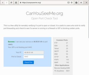 Abbildung 3: Über die Webseite Canyouseeme.org prüfen Sie, ob die Port-Weiterleitung funktioniert. Beachten Sie, dass dabei auch der DSVPN-Server aktiv sein muss.