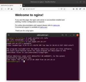Abbildung 3: Dieses Ubuntu-System greift über das ZeroTier-Netz auf einen Raspberry Pi im heimischen LAN zu, ohne dass zuvor Ports weitergeleitet werden mussten.