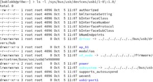 Abbildung 6: Virtuelle Dateien im Sys-Dateisystem geben unter anderem Auskunft über die USB-Geräte eines Rechners.
