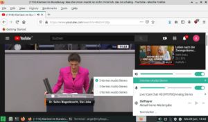 Abbildung 4: Beim Surfen kann es passieren, dass der Ton nicht aus der richtigen Soundkarte kommt. Abhilfe schafft das Lautsprecher-Plugin, das sich üblicherweise auf dem Panel befindet.