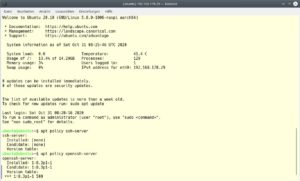 Abbildung 2: Nach erfolgreichem Start und der ersten Initialisierung von Ubuntu Server zeigt das Terminal einige Systeminformationen an, neben der Temperatur der CPU unter anderem auch die jeweilige IP-Adresse.