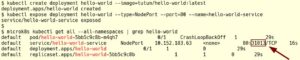 Abbildung 10: "Hello World" ist ein beliebtes Beispiel, um die Funktionstüchtigkeit von Webanwendungen zu testen. Für diesen Zweck gibt es auch ein kleines Docker-Image.