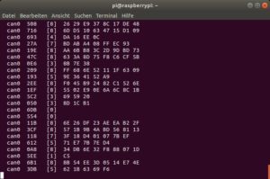Abbildung 3: Mit Cangen erzeugte Testdaten.