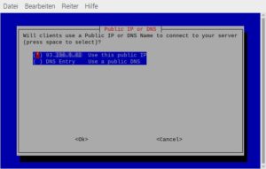 Abbildung 3: Da sich die externe IP-Adresse des Routers in der Regel bei jeder Einwahl ins Netz ändert, sollten Sie eine DynDNS-Adresse einrichten und als <span class="ui-element">DNS Entry</span> in die Konfiguration eintragen.