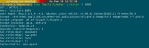 Abbildung 1: Netcat zeigt, wie der Browser mit einem HTTP-Server zu kommunizieren versucht.
