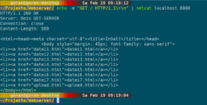 Abbildung 2: Der selbst gebaute Webserver liefert jetzt den Inhalt des Root-Verzeichnisses als Listing aus.
