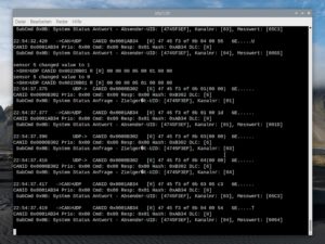 Abbildung 5: Ein Beispiel für die Ausgaben von <code>startrs.sh</code> am Terminal.