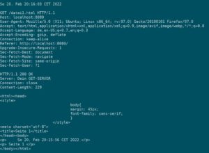 Abbildung 5: Ein Ausschnitt aus der Debug-Datei für den Port 8080. Genauer lässt sich die Kommunikation zwischen Webserver und Webbrowser nicht mitverfolgen.