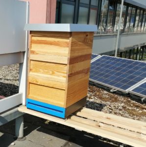 Abbildung 1: Als Grundlage für diesen Artikel dient ein Bienenstock einer Schule, der den Schülern die Zusammenhänge von Umwelt und Natur näher bringt.
