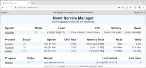 Abbildung 6: Der Monit Service Manager &uuml;berwacht die IDS-Prozesse und startet sie bei Bedarf neu.