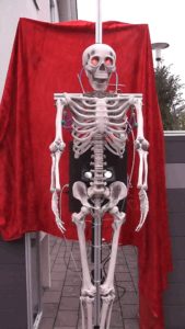 Abbildung 1: Das Halloween-Skelett Paul in voller Größe.
